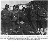 Kuriri ataba 11. dalmatinske brigade