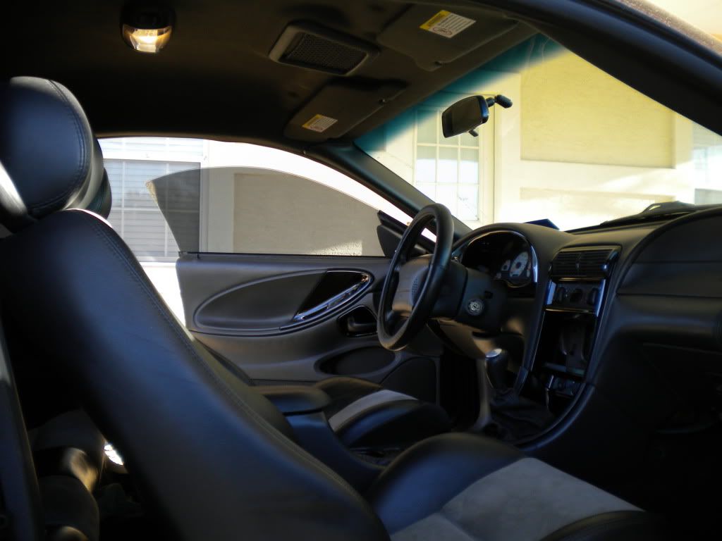 '03 interior finally in! SN95Forums The Only SN95 19942004 Dedicated