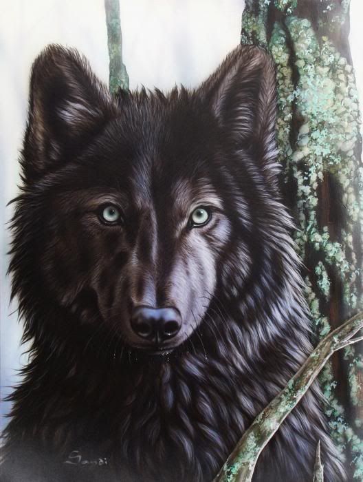 1-black-wolf-sandi-baker.jpg Cool wolf image by Alontes