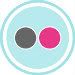 AquaBlueGrayButtonIconFlickr