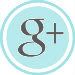 AquaBlueGrayButtonIconGoogle