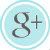 AquaBlueGrayButtonIconGoogle