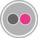 GrayButtonIconFlickr