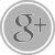 GrayButtonIconGoogle
