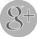 GrayGrayIconGoogle