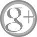 GrayWhiteButtonGoogle