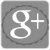 LaceGrayIconGoogle