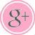 PinkGrayButtonIconGoogle-4