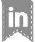 RibbonIconLinkedIn