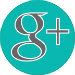 TealGrayIconGoogle