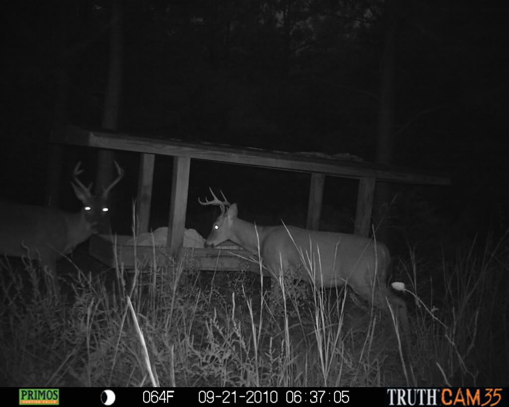 Peanut Butter Flavored Rice Bran Arkansas Hunting