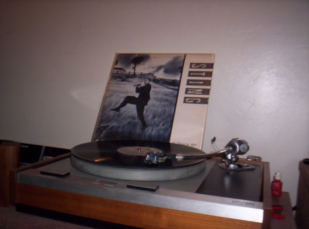 Stingsetthemfree12inch.jpg