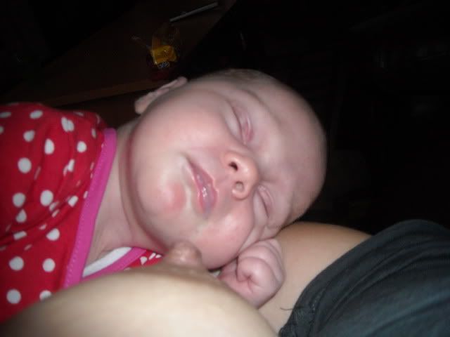 DSCN0005.jpg