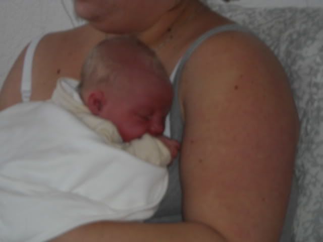 DSCN0711.jpg