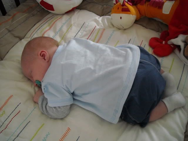 DSCN0785.jpg