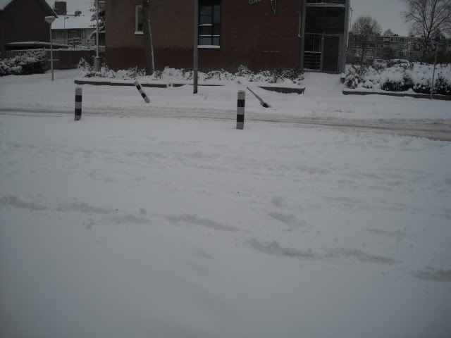DSCN1682.jpg