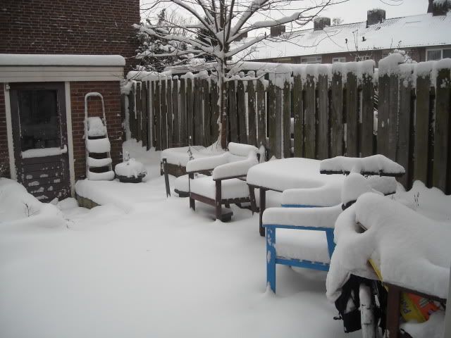 DSCN1683.jpg
