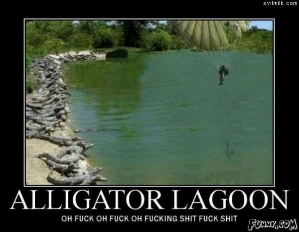 Now imagine those gators teleporting.