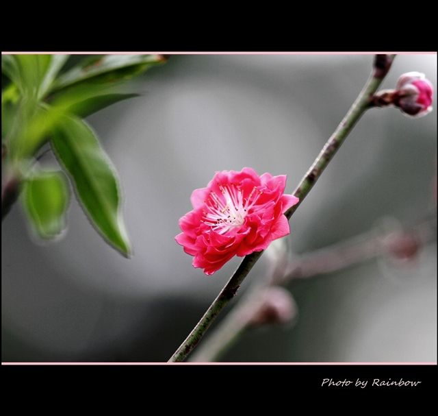  photo IMG_1631-11_zps546bd3bf.jpg