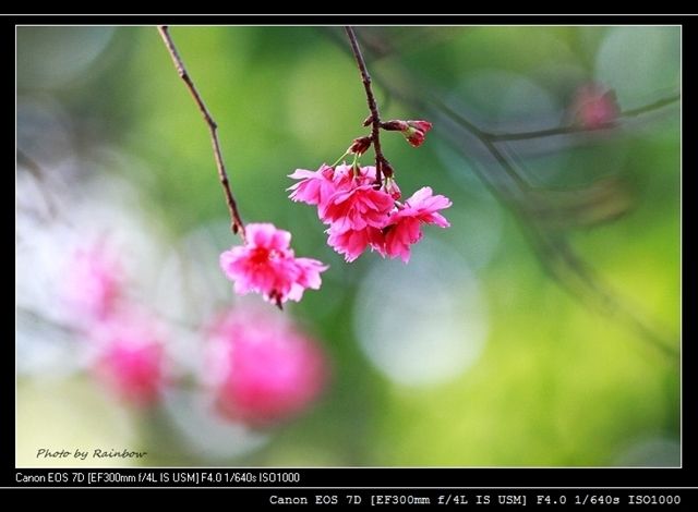  photo IMG_2504-1_zps6da2c12a.jpg