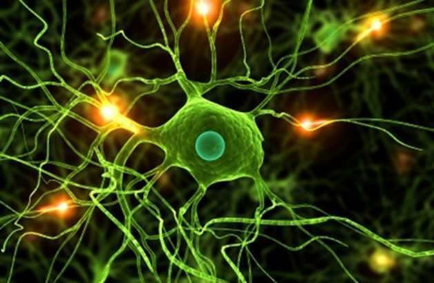 blog biologiczny