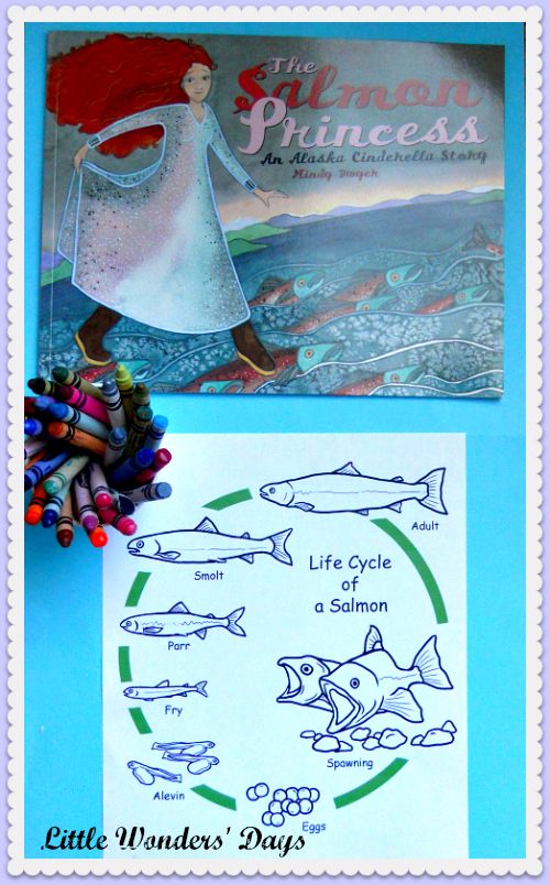 Alaska lesson plans via Little Wonders' Days salmon life cycle, alaska lesson plans for kids