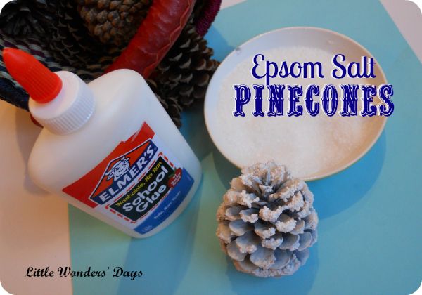 Epsom Salt Snowy Pinecones via Little Wonders' Days pinecone craft