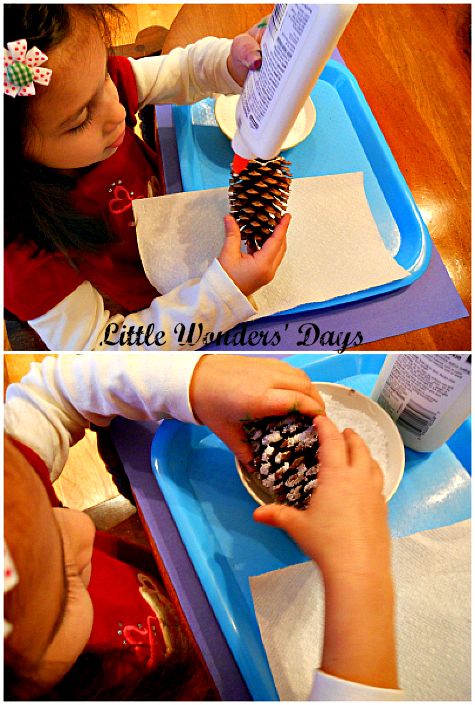 Epsom Salt Snowy Pinecones via Little Wonders' Days pinecone craft