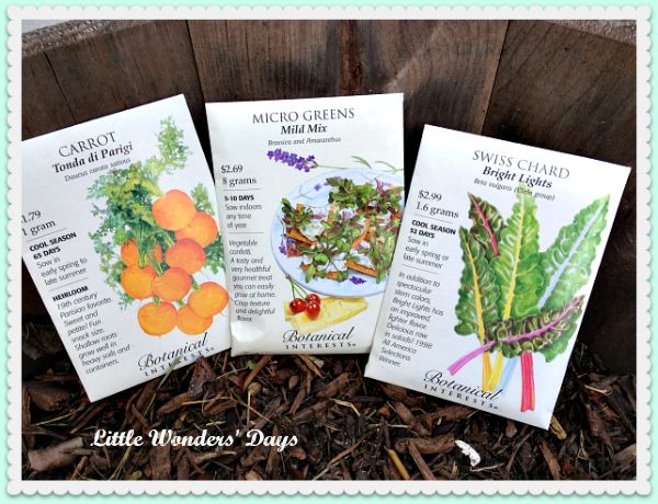 Fall Sensory Gardening via Little Wonders' Days fall gardening with kids