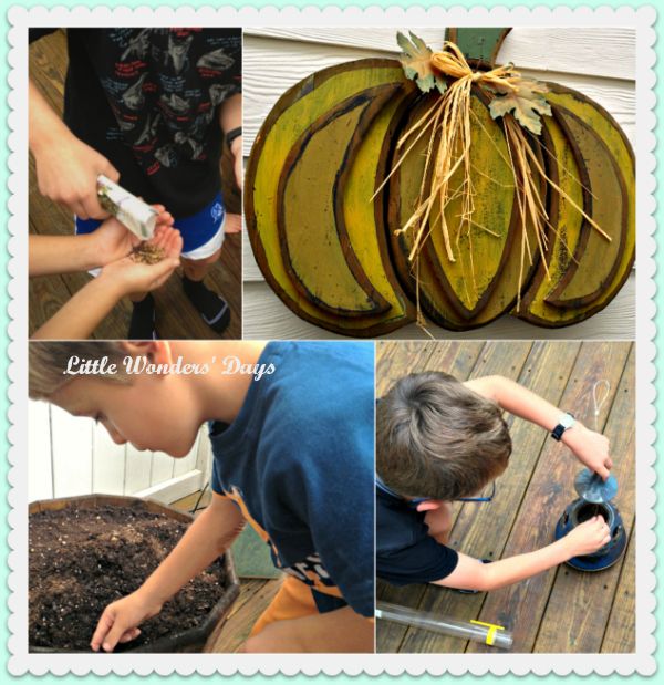 Create a Fall Sensory Garden via Little Wonders' Days gardening with kids