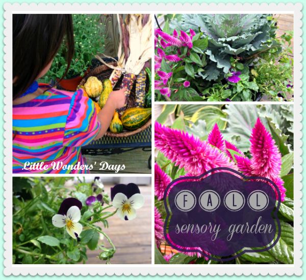 Create a Fall Sensory Garden via Little Wonders' Days fall sensory gardening with kids