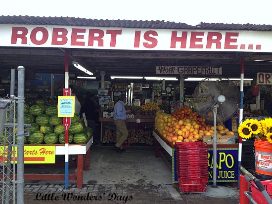 Miami Culture via Little Wonders' Days Robert Is Here