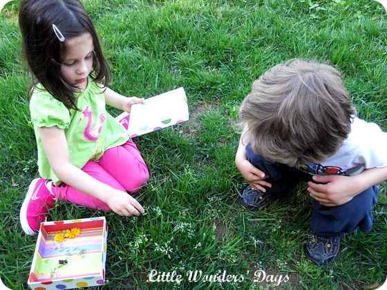 Spring Nature Walk and Treasure box via Little Wonders' Days nature treasure box for kids