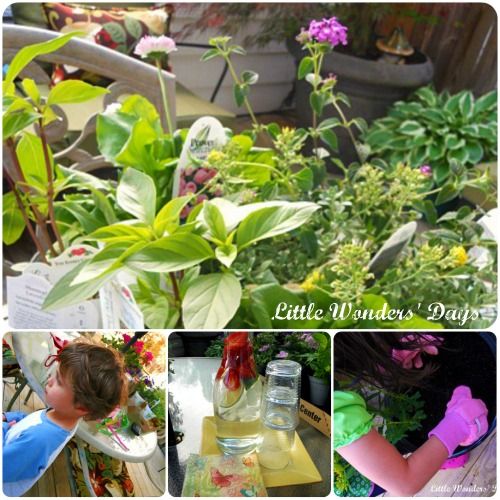 Sensory garden via Little Wonders' Days sensory garden, sensory garden for kids, gardening with kids