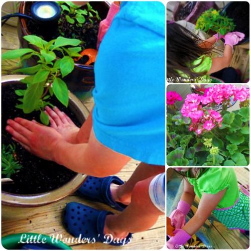 Kids Sensory Garden via Little Wonders' Days kids sensory garden
