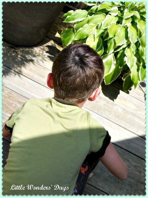 science games, Little Wonders' Days, how to mark your territory