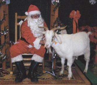 Goat shopping - considering a variety pack - Goats