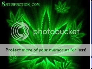 Weed Pictures, Images and Photos