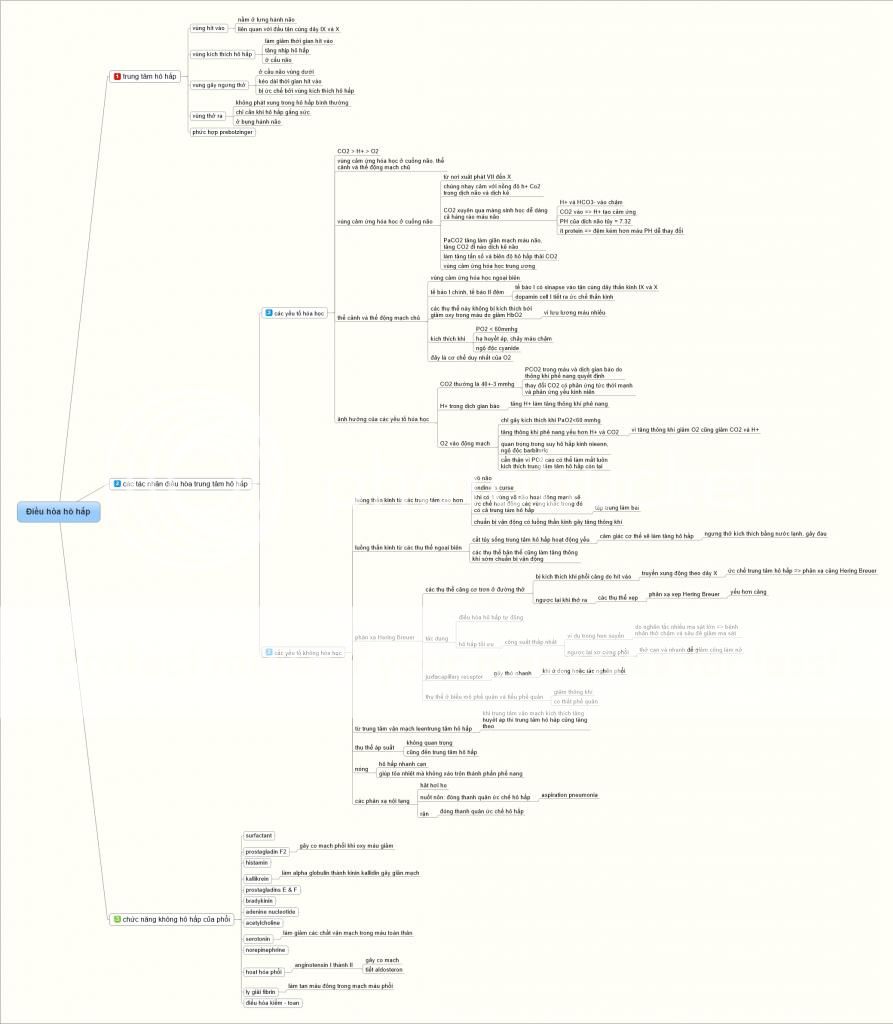 Các bài phần hô hấp trong sách sinh lý học của ĐH Y Dược TPHCM được soạn dưới dạng mind map  1110i1EC1uhograveahocirch1EA5p2