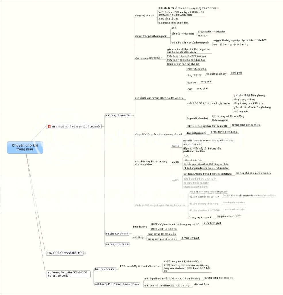 Các bài phần hô hấp trong sách sinh lý học của ĐH Y Dược TPHCM được soạn dưới dạng mind map  Chuyecircnch1EDFkhiacutetrongmaacuteu2