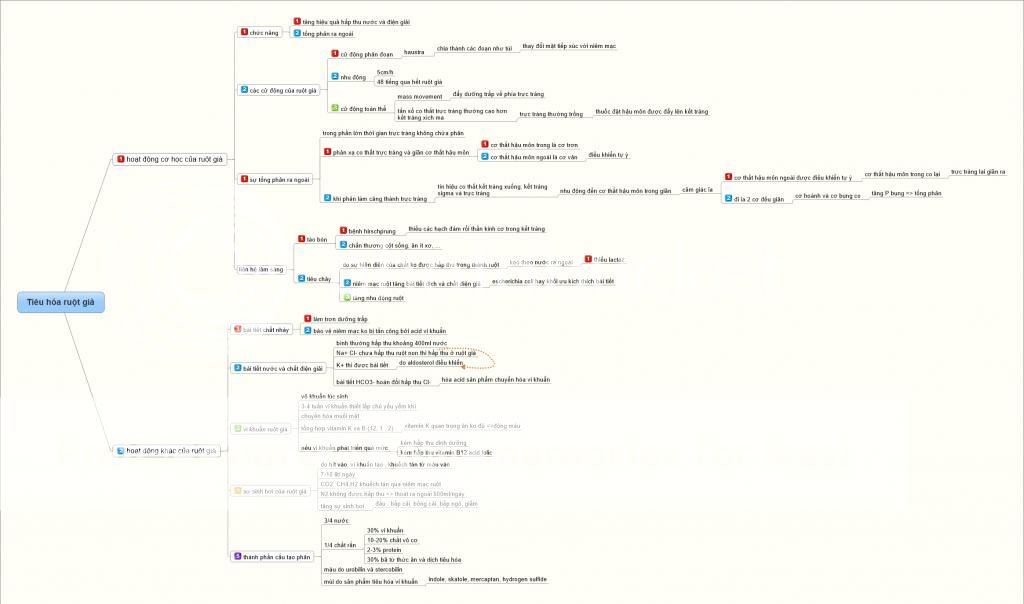 Phần tiêu hóa của sách sinh lý ĐHYD TPHCM được tóm tắt dạng mind map Tiecircuhoacutearu1ED9tgiagrave2